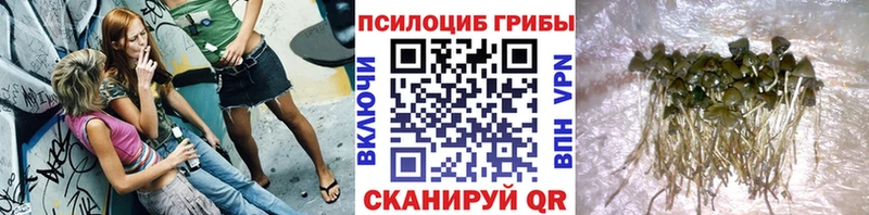Псилоцибиновые грибы мухоморы  закладки  Боготол 